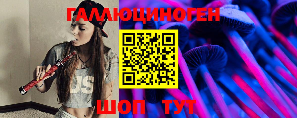 где продают   Псилоцибиновые грибы мицелий  Вход с VPN  Подольск  Галлюциногенные грибы Psilocybe 
